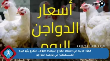 قفزة جديدة في أسعار الفراخ البيضاء اليوم.. ارتفاع يثير حيرة المستهلكين في بورصة الدواجن